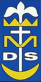 dsm.jpg