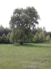 Pielgrzymka DSM_7